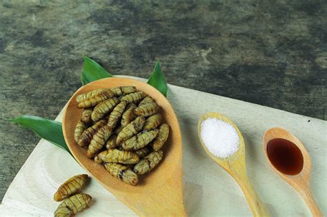 Silkworm Pupae Asian Food Cooking By Steam Or Deep Fry Stock Photo