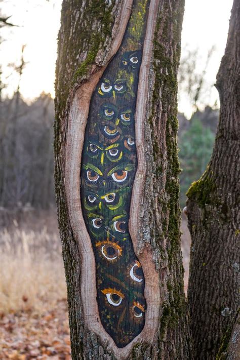 Eyes Of Owls Painted In A Hollow Tree Stock Photo Image Of Peeking