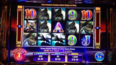 Winning Wolf Slot Machine 13 Free Spins Bonus Youtube