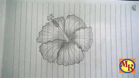 25 mewarnai gambar sketsa flora dan fauna terindah. cara menggambar bunga kembang sepatu (speed drawing) - YouTube