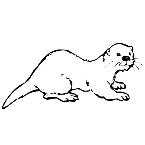Sea Otter Coloring Pages Animal Coloring Pages Otters Coloring Pages