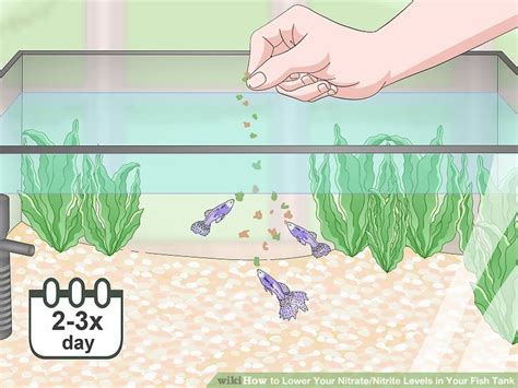 How To Lower Your Nitratenitrite Levels In Your Fish Tank