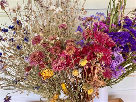 Dried Flowers The Pickery