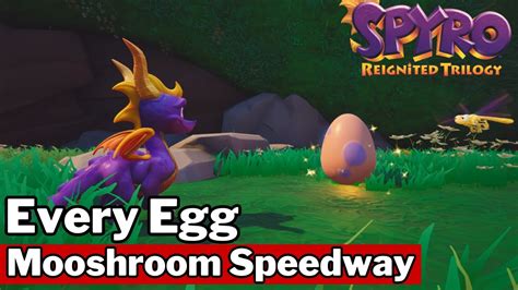 Spyro 3 Reignited Trilogy All Mushroom Speedway Egg Locations Youtube