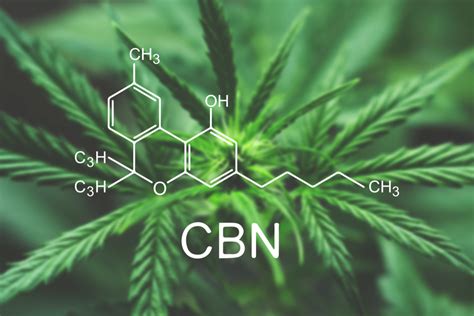 Inmed First To Advance Cannabinol Cbn Into Therapeutic Clinical