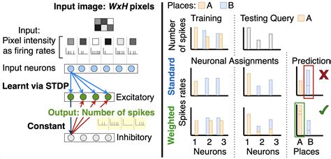 Spiking Neural Networks For Visual Place Recognition Via Weighted Neuronal Assignments Papers