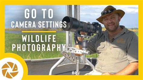 Best Camera Settings For Wildlife Photography Youtube