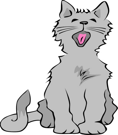 Безплатни клипове за котенца Изтеглете безплатни картинки безплатни