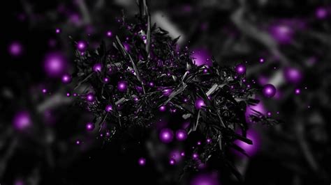 100 Black And Purple Pictures
