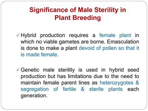 Male Sterility Ppt