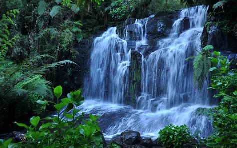 Waterfall Nature Wallpapers Top Free Waterfall Nature Backgrounds