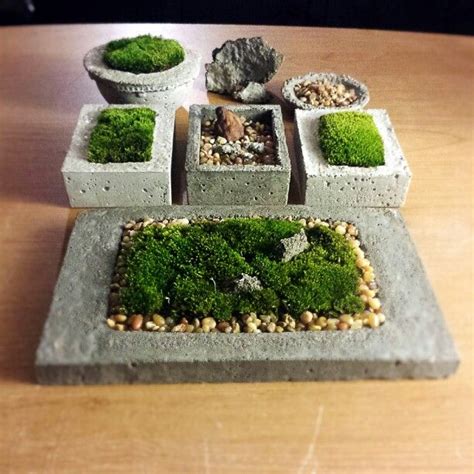 Wholesale moss is generally sold at a bulk price at $1/pound. Moss growing in small, hand-poured concrete planters on my ...