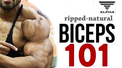 Bicep Workout For Mass 101ripped Natural Biceps Allenamento