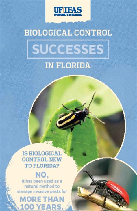 They are divided into three categories: Air Potato Biological Control