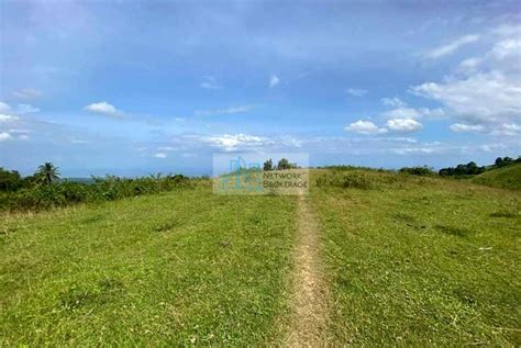 22 Hectares Titled Lot For Sale In San Fernando Cebu Realty Network