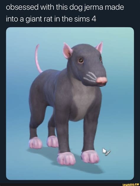 Video Game Rat Database — Rat From Sims 4