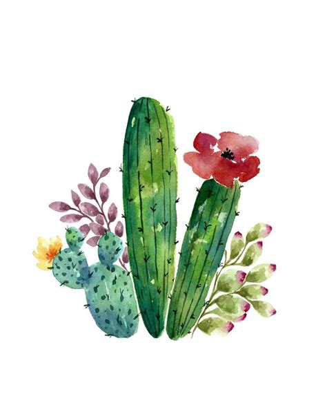 Cactus Bunch Cactus Paintings Cactus Painting Watercolor Cactus