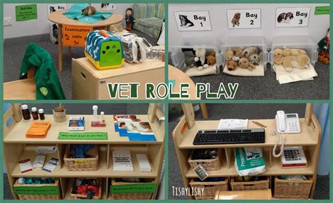 The definition varies by culture, location. Vets role play in my FS1 class | Role play areas, Role ...