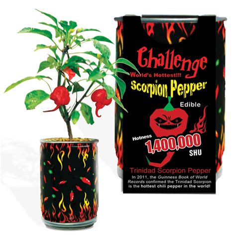 Scorpion Pepper Growing Kit Trinidad Scorpion Pepper Plant