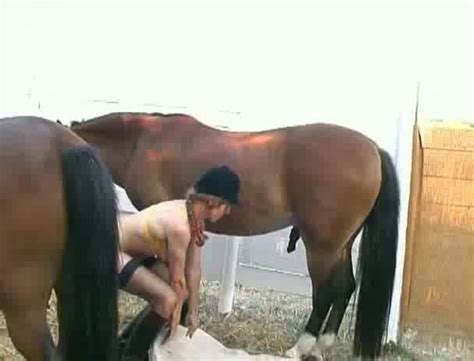 Horse Getting Sucked Off By Tramp Xxx Femefun