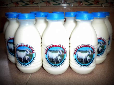 Khasiat susu kambing dalam kesehatan. 2019 Beli Susu Kambing Segar Sekarang!: Kelebihan susu ...