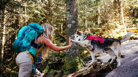 Hiking With Dogs Official Adirondack Region Website