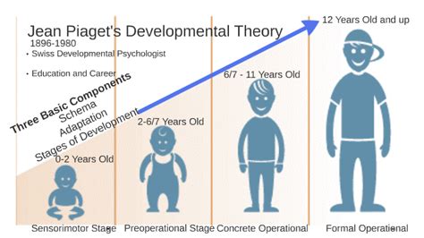 Jean Piagets Four Stages Of Development By Steven Munderloh On Prezi