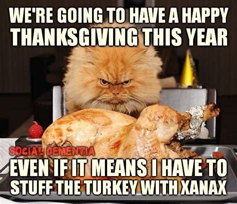 pin by diana scheve on memes thanksgiving jokes funny thanksgiving funny pictures