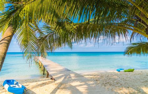 Wallpaper Sand Sea Wave Beach Summer Palm Trees Shore Summer