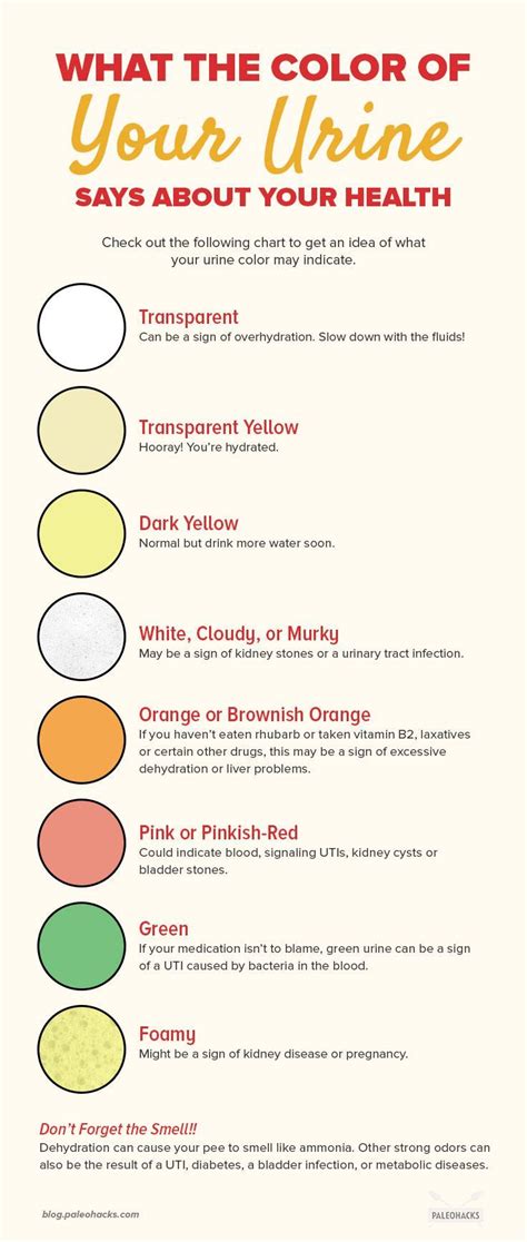This Urine Color Chart Explains How To Read Your Pee Bulletproof Find