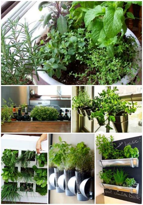 Sunlight and consistent watering are key for success growing herbs in winter. 18 Best Ways To Grow Food Indoors