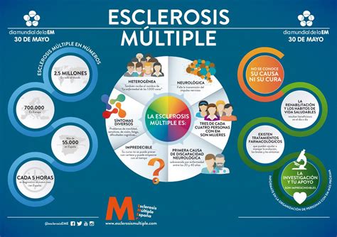 El tejido teñido con cd68 muestra varios macrófagos en el área de una. «La esclerosis múltiple se va apoderando poco a poco de tu ...