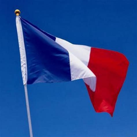2016 New French Flag 35 Feet Polyester Flag90150cm Big Banners