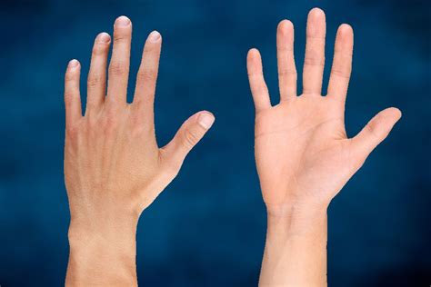 How Well Do You Know The Back Of Your Hand Interesting Science Facts