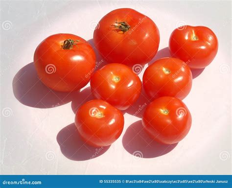 Polish Tomatoes Stock Image Image Of City Delicious 55335535