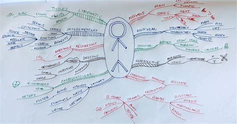 Riff Lections July Challenge Its Mind Map Time Topic Human Body