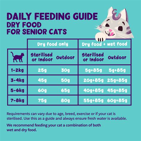 How Much Wet Food To Feed A Cat Every Day Ng