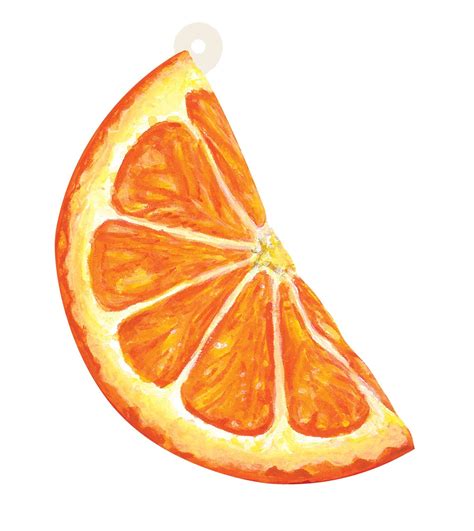 How To Draw Orange Slices Dulcehenoop