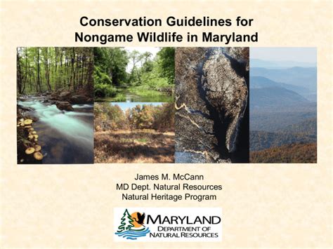 Conservation Guidelines For Nongame Wildlife In Maryland James M Mccann