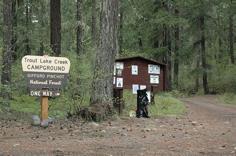 Four Ford Pinchot National Forest Campgrounds Open Today Ford