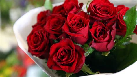 Whats The Most Romantic Flower 10best The Worlds Most Romantic
