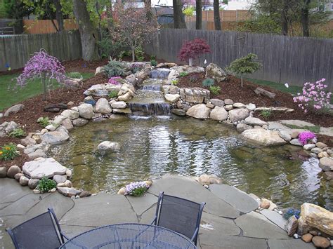 1000+ ideas about Pond Stuff on Pinterest | Koi Ponds, Ponds and