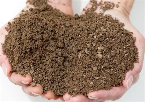 Loamy This Soil Is A Mixture Of Sand Clay And Silt Particles And Has