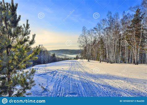 Beautiful Winter Morning Landscape In Mountain Forest With Fog Stock