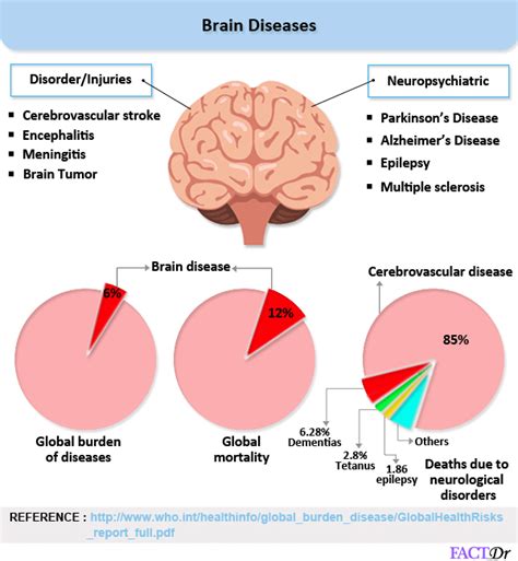 Brain Diseases Pictures