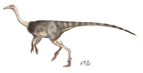 Anserimimus Planinychus By Unlobogris On Deviantart