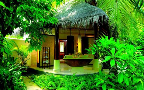Home Wallpapers - Top Free Home Backgrounds - WallpaperAccess