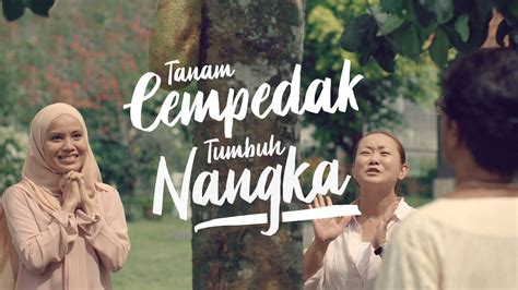 Petik dan makan buah nangkadak nangka cempedak. Tanam Cempedak Tumbuh Nangka | CIMB Hari Raya 2018 - YouTube