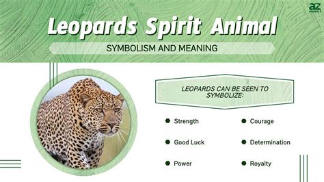 Leopard Spirit Animal Symbolism And Meaning A Z Animals
