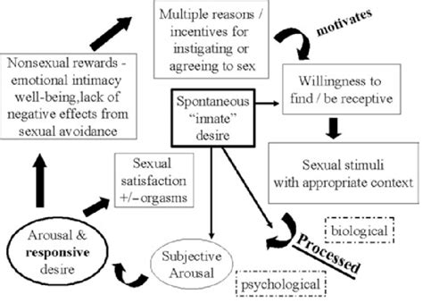 Blended Sex Response Cycle Apparently Spontaneous Desire May Augment